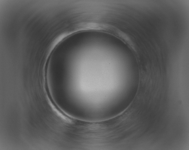X0000053161479200507111454