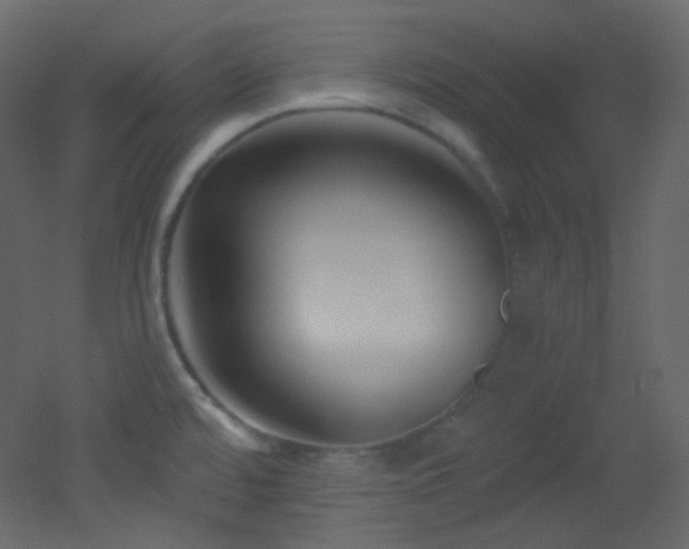 X0000053161480200507111454