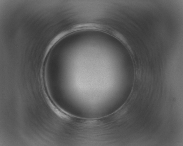 X0000053161482200507111454