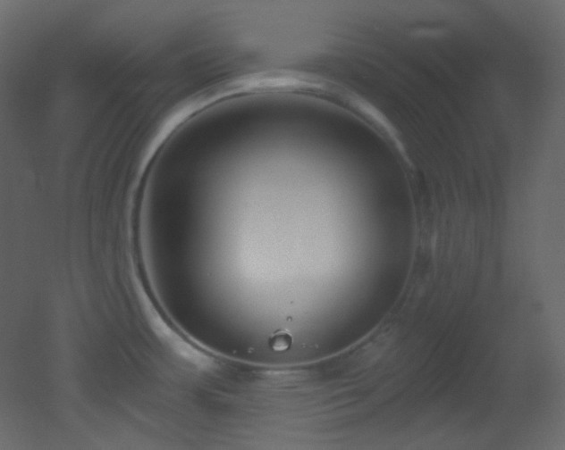 X0000053161483200507111454