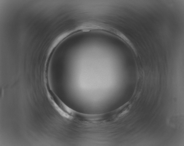 X0000053161485200507111454