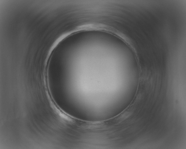 X0000053161486200507111454