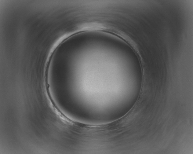X0000053161488200507111454