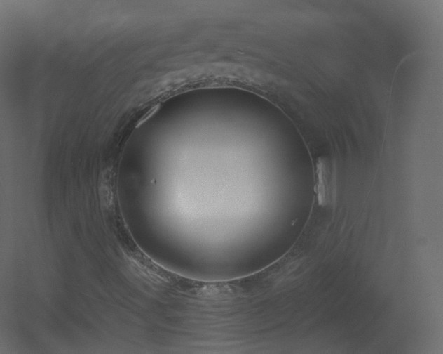 X0000053161491200507111453