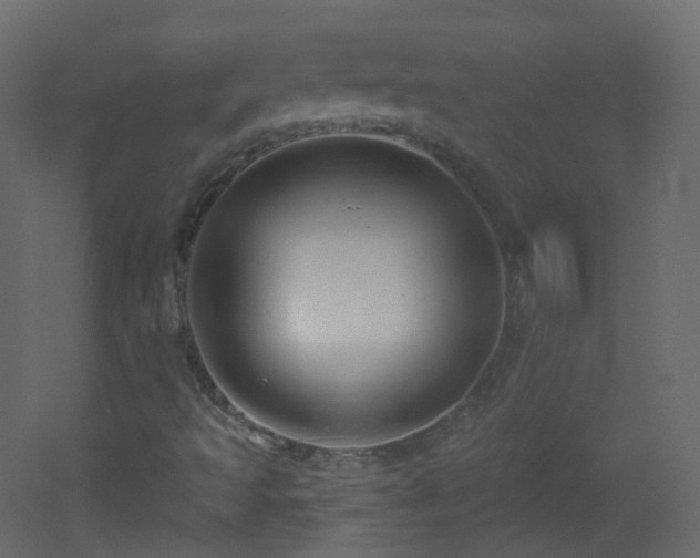 X0000053161493200507111453
