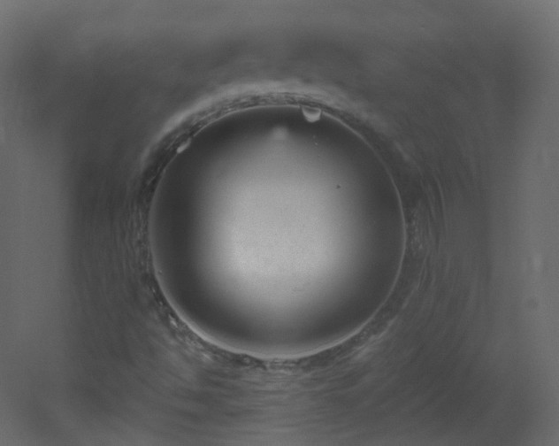 X0000053161494200507111453