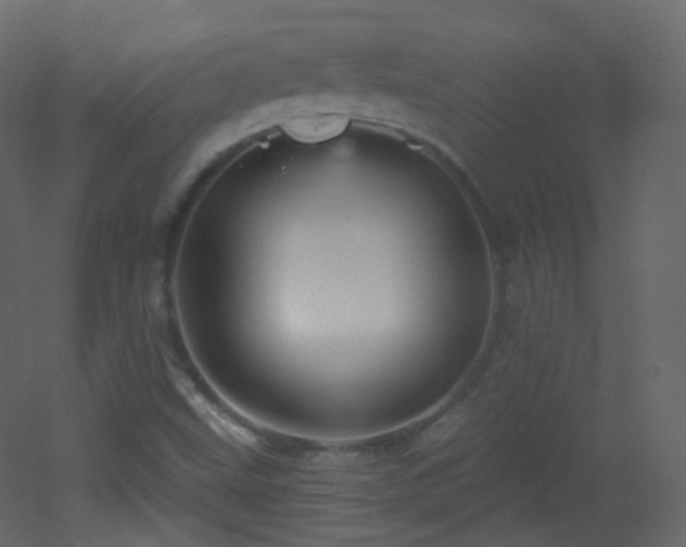X0000053161499200507111453