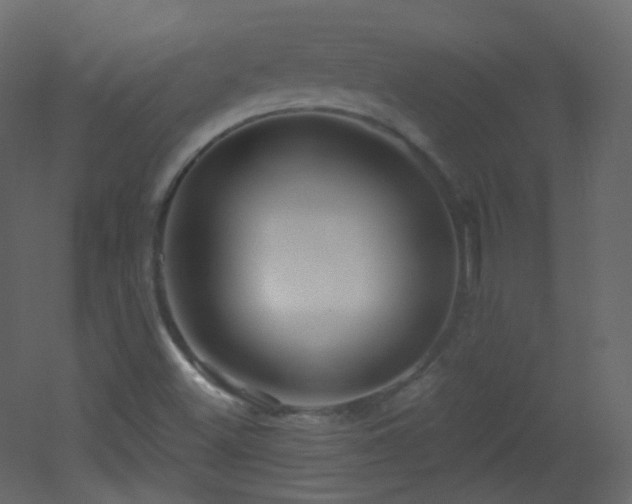 X0000053161500200507111453