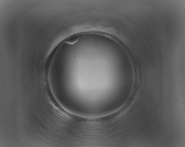 X0000053161501200507111453
