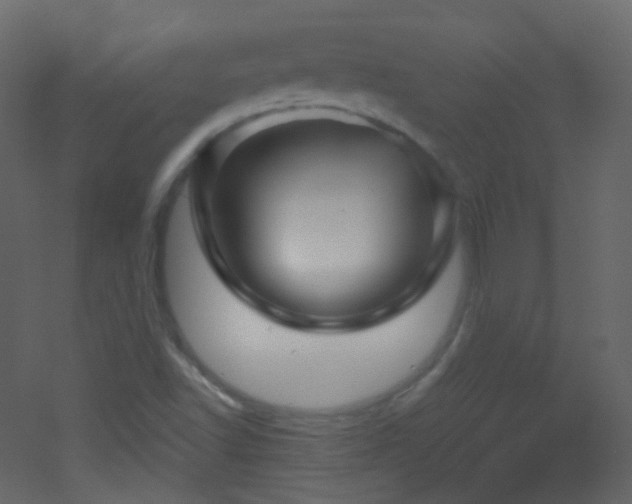 X0000053161502200507111453
