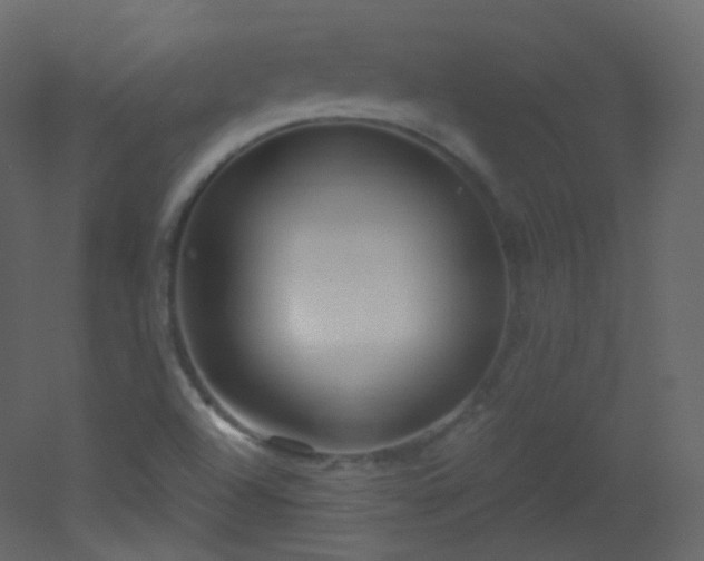 X0000053161504200507111453