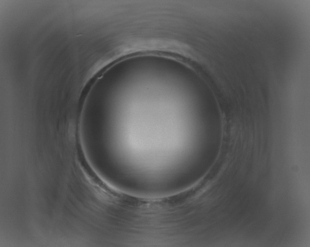 X0000053161505200507111453