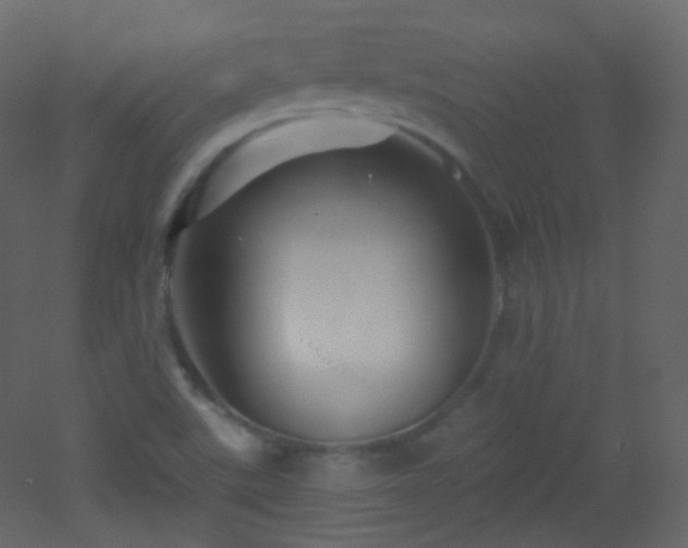 X0000053161507200507111453