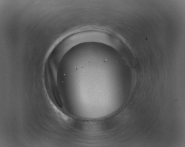 X0000053161508200507111453