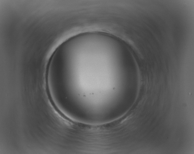 X0000053161512200507111454
