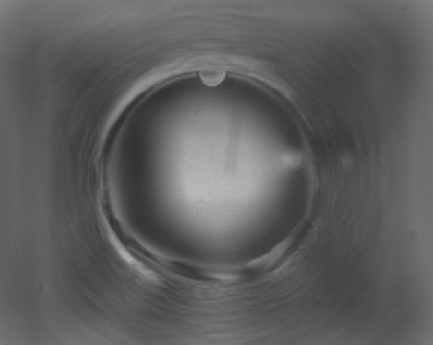 X0000053161515200507111454