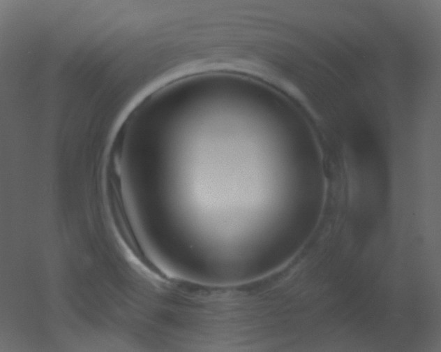 X0000053161516200507111454