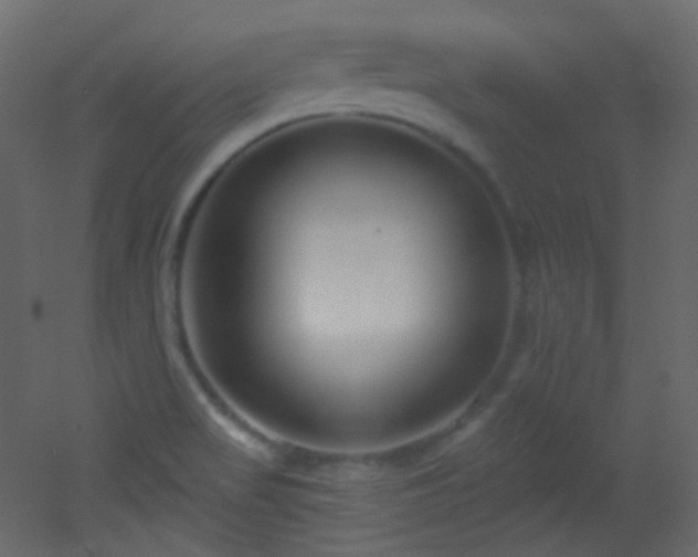 X0000053161517200507111454