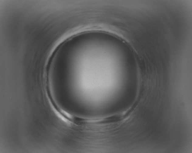X0000053161519200507111454