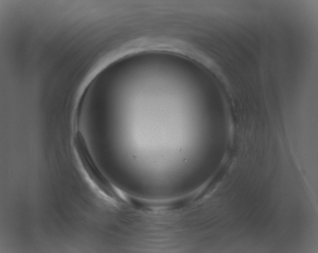 X0000053161520200507111454