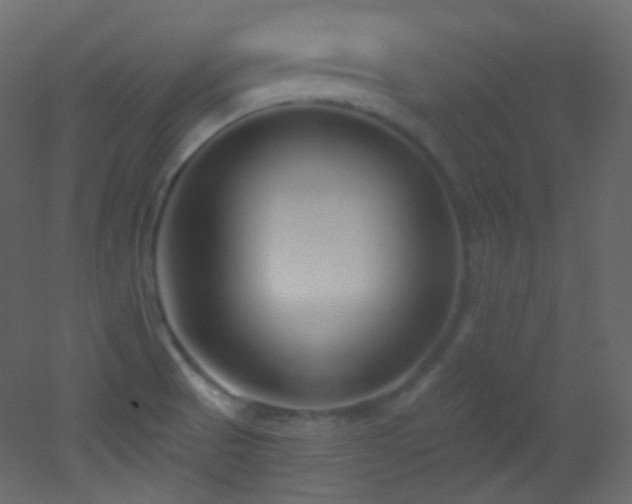 X0000053161521200507111454