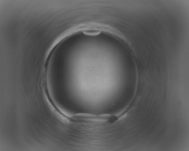 X0000053161522200507111454