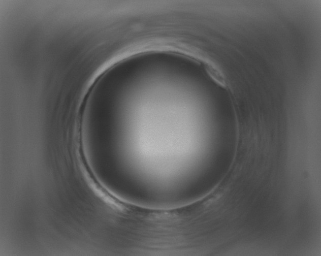 X0000053161526200507111454