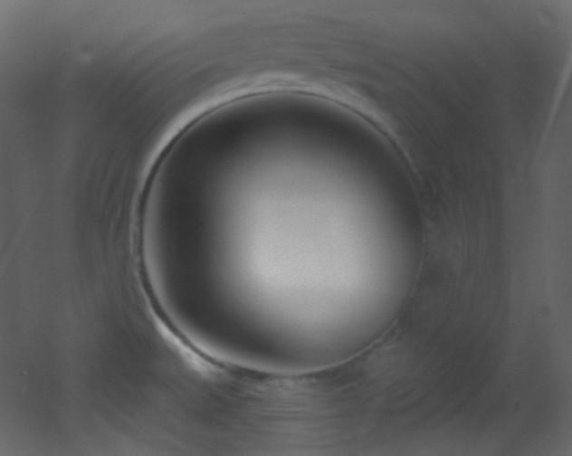 X0000053161527200507111454