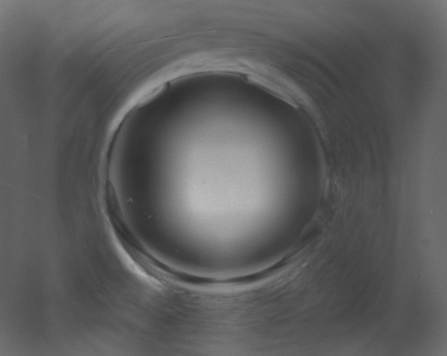 X0000053161528200507111454