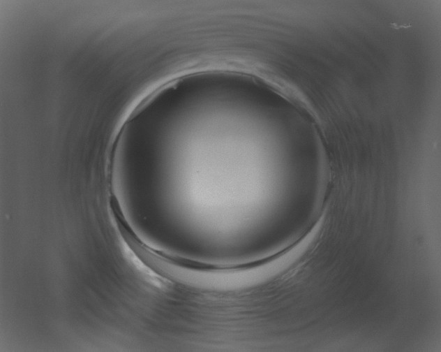 X0000053161532200507111454