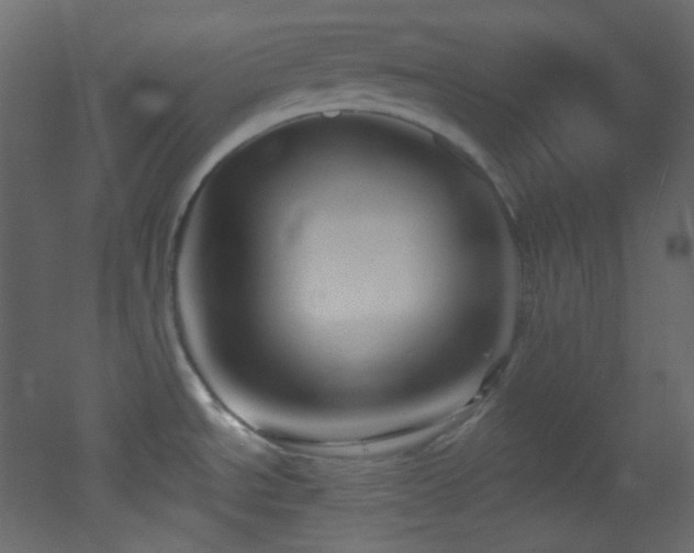 X0000053161534200507111454