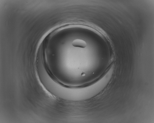 X0000053161536200507111454