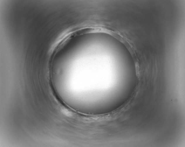 X0000053160005200507251921