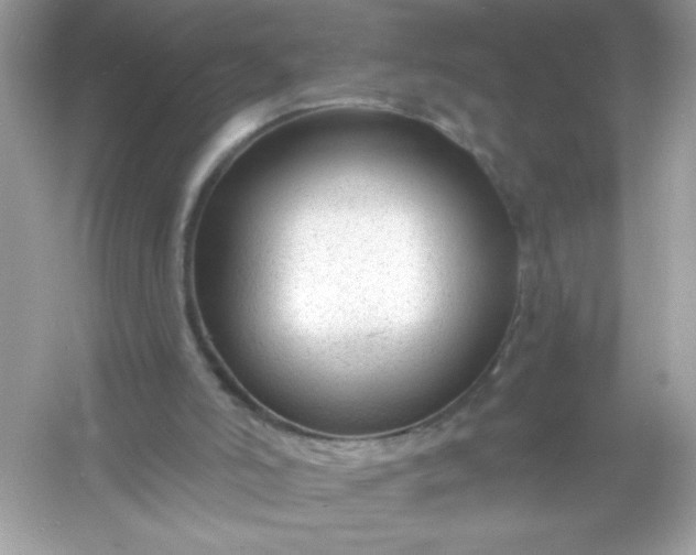 X0000053160006200507251920