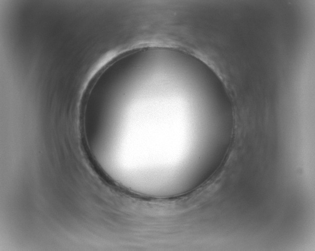 X0000053160008200507251920