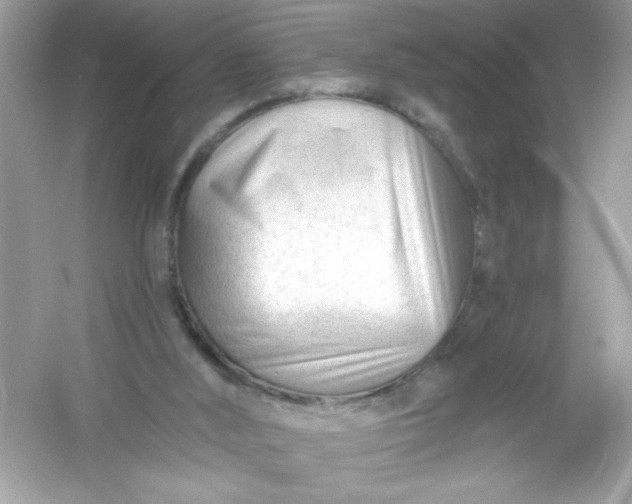 X0000053160012200507251920
