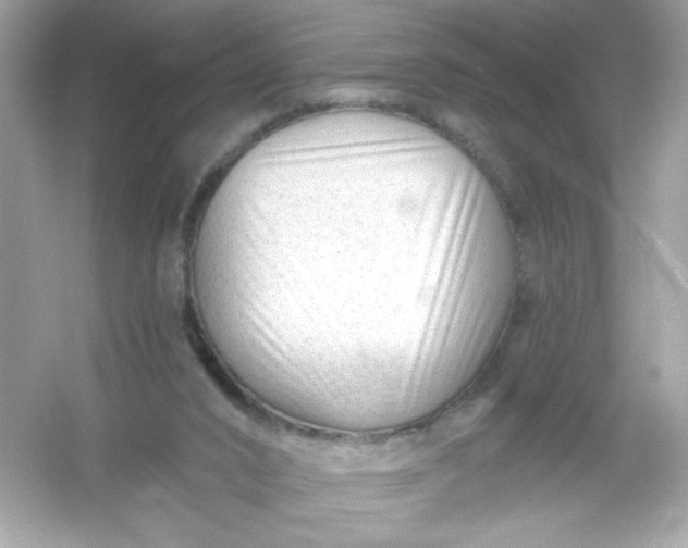 X0000053160016200507251920
