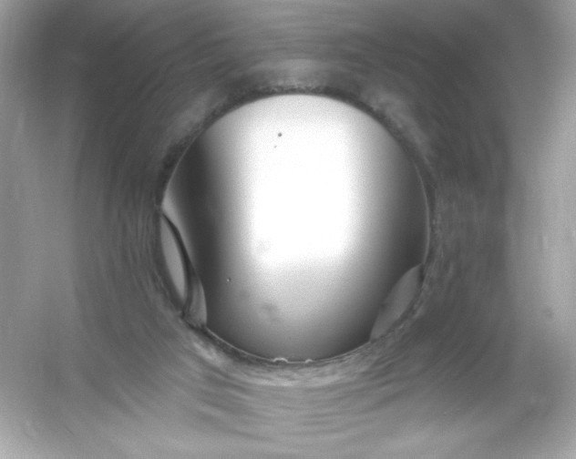 X0000053160017200507251920