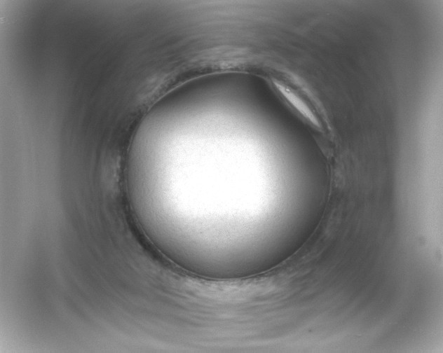 X0000053160018200507251920