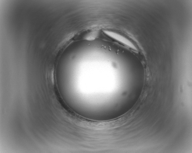 X0000053160019200507251920