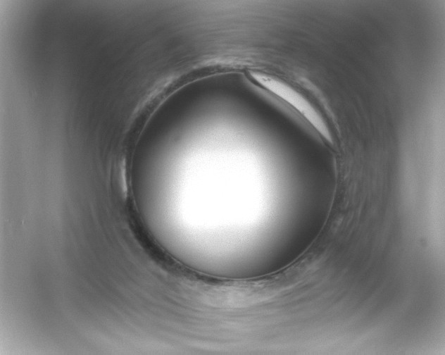 X0000053160020200507251920