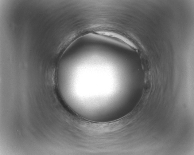 X0000053160023200507251920