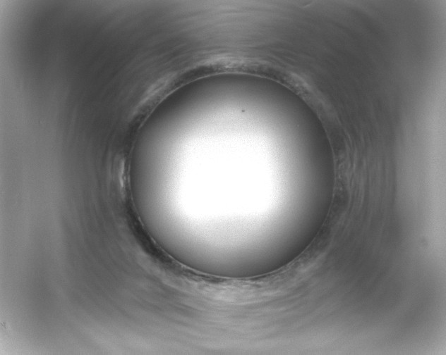 X0000053160024200507251920