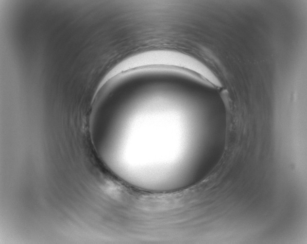 X0000053160025200507251920