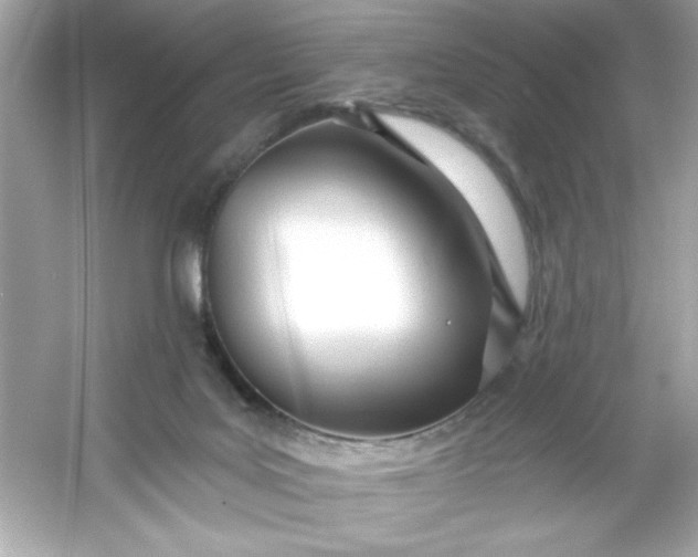 X0000053160027200507251920
