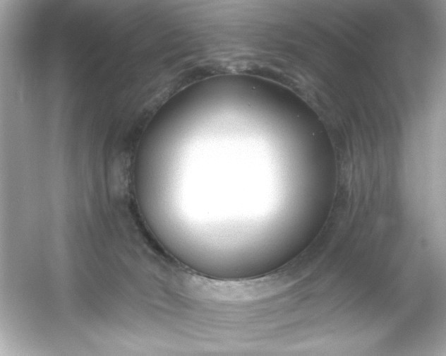 X0000053160030200507251920