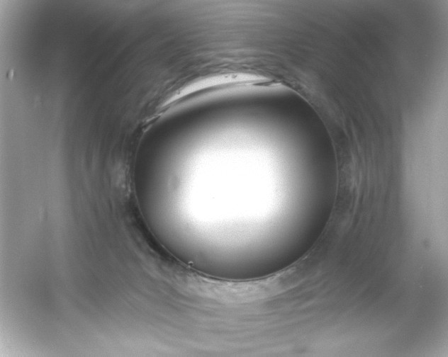 X0000053160031200507251920