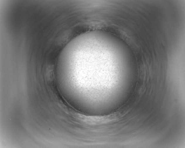 X0000053160034200507251920