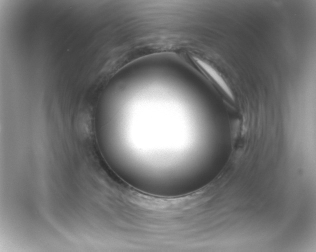 X0000053160035200507251920