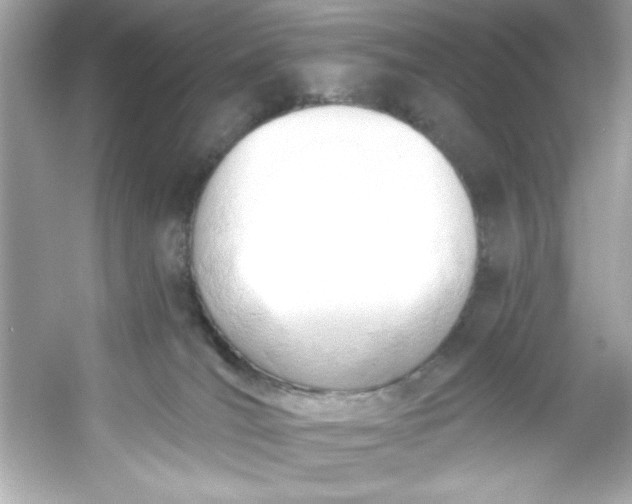 X0000053160036200507251920